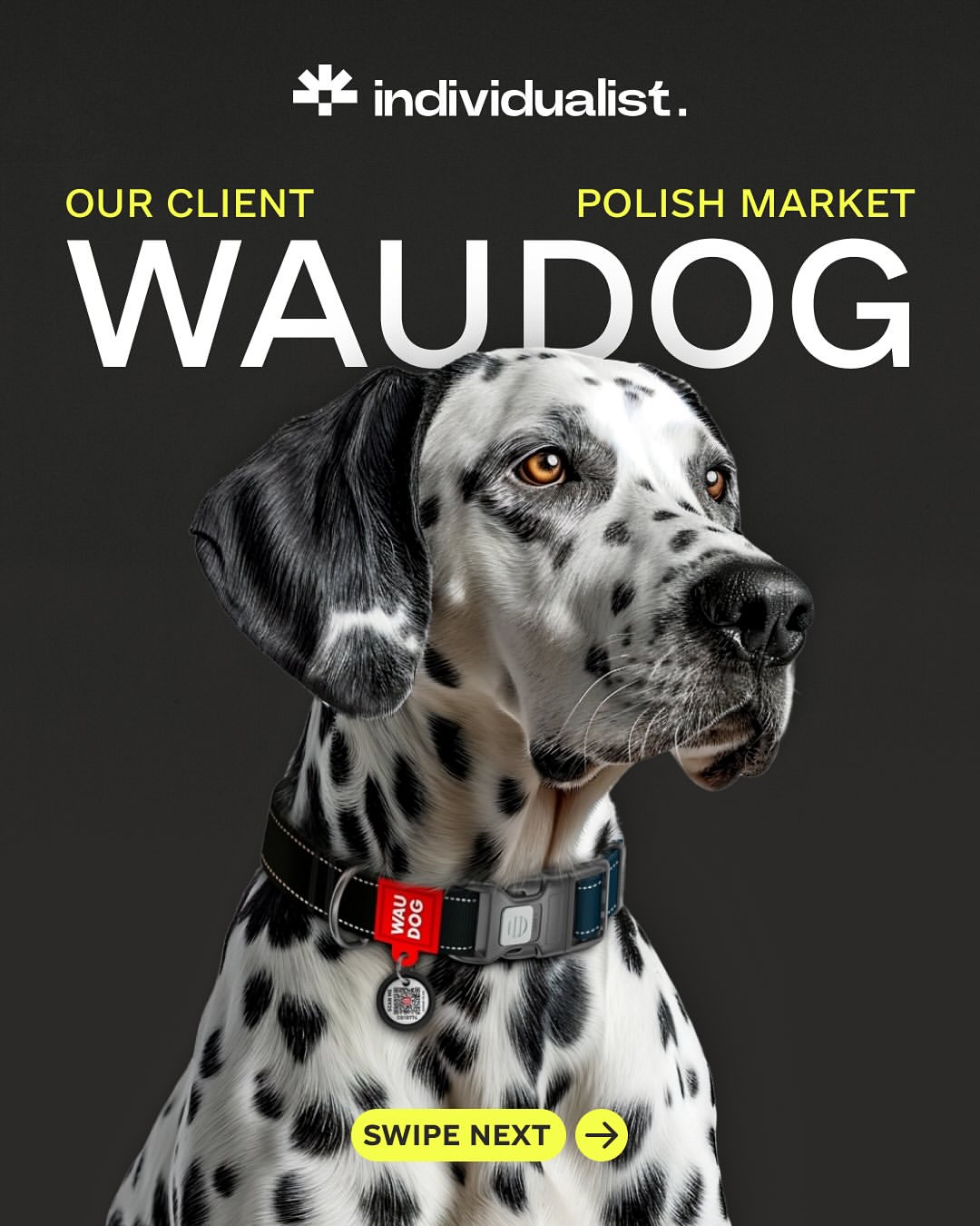 WauDog